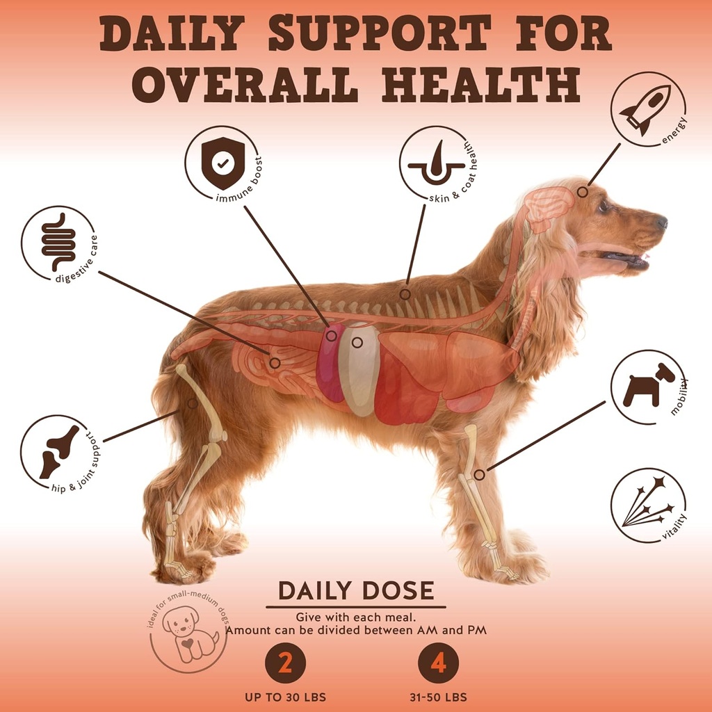 jackpup-dog-multivitamin-bark-buddies-do-2.jpg