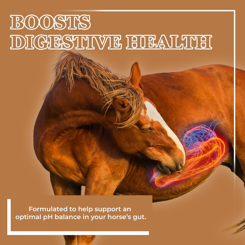 equerrys-sand-master-horse-supplement----2.jpg