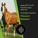 g-chill-all-natural-digestive-health-sup-4.jpg