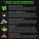 beard-growth-kit-wgrow-xxl-beard-oilseru-5.jpg