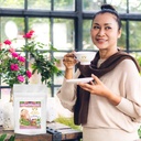 menopause-tea---natural-support-menopaus-6.jpg