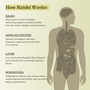 reishi-mushroom-triple-extract-tincture--4.jpg
