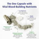 vitality-power-iron-and-spirulina-60-ct-3.jpg