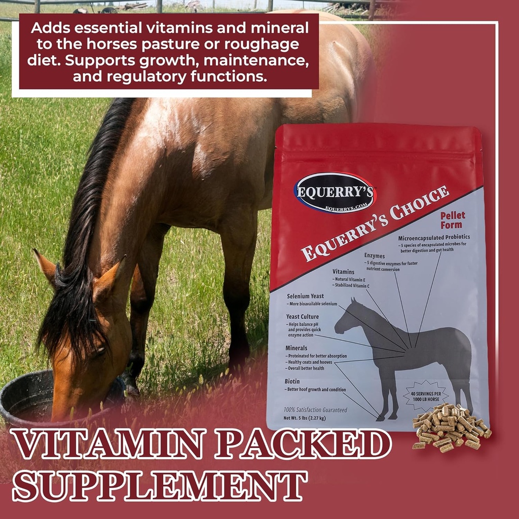 animal-health-solutions---equerrys-choic-3.jpg