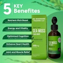 organic-sea-moss-liquid-drops-30000-mg-s-3.jpg