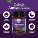 bundle-of-enhance-brain-memory-boost-foc-5.jpg