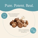 real-mushrooms-vitamin-d2-from-shiitake--4.jpg
