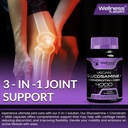 wellness-labsrx-glucosamine-chondroitin--6.jpg