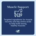 acetyl-l-carnitine-hcl-powder-horse-ener-4.jpg