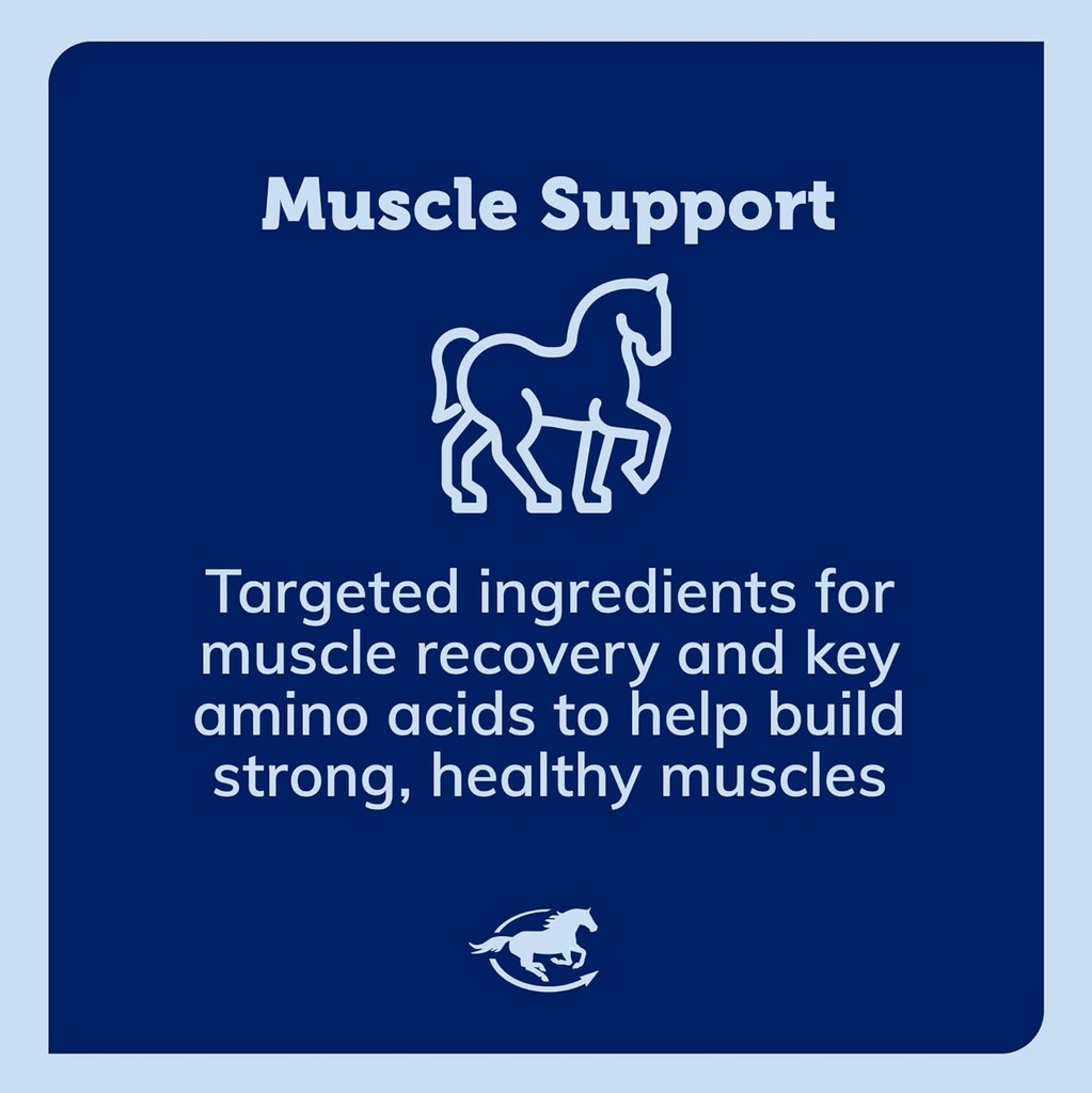acetyl-l-carnitine-hcl-powder-horse-ener-5.jpg