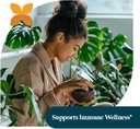 pattern-wellness-greens-powder-superfood-5.jpg