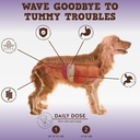 jackpup-probiotic-chews-for-dogs---dog-p-2.jpg