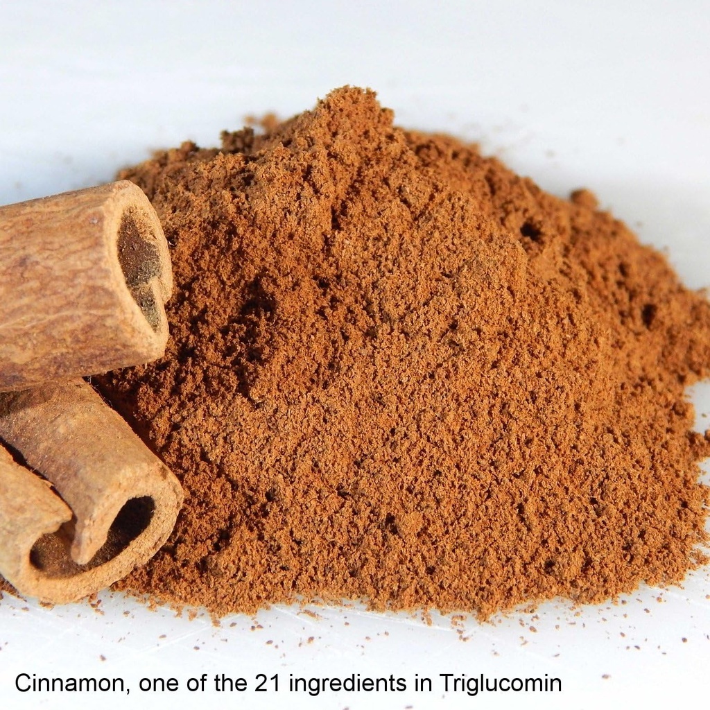supplement-vanadium-chromium-gymnema-syl-4.jpg
