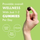 natures-key-upgraded-20-ashwagandha-gumm-4.jpg