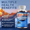 shilajit-gummies-shilajit-resin-with-85--3.jpg