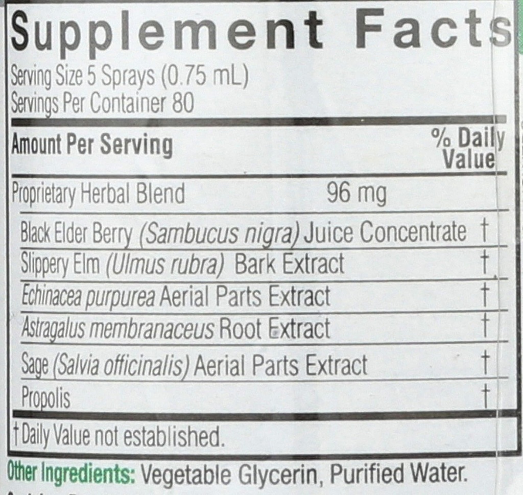 natures-answer-sambucus-syrup-extract-sp-3.jpg