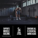 abb-pure-pro-protein-powder-chocolate-33-5.jpg