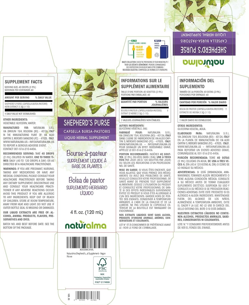 naturalma-shepherds-purse-capsella-bursa-2.jpg
