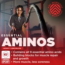 gnarly-nutrition-gnarly-preworkout-straw-4.jpg