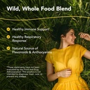 north-american-herb-spice-elder-c---60-c-2.jpg