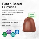 bio-krauter-mullein-60-gummies-chlorophy-4.jpg