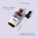 vimergy-liquid-zinc-55-ml-and-zinc-refil-3.jpg