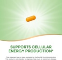 natures-way-riboflavin-vitamin-b2-suppor-4.jpg