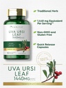 carlyle-uva-ursi-capsules-1440mg-150-cou-4.jpg