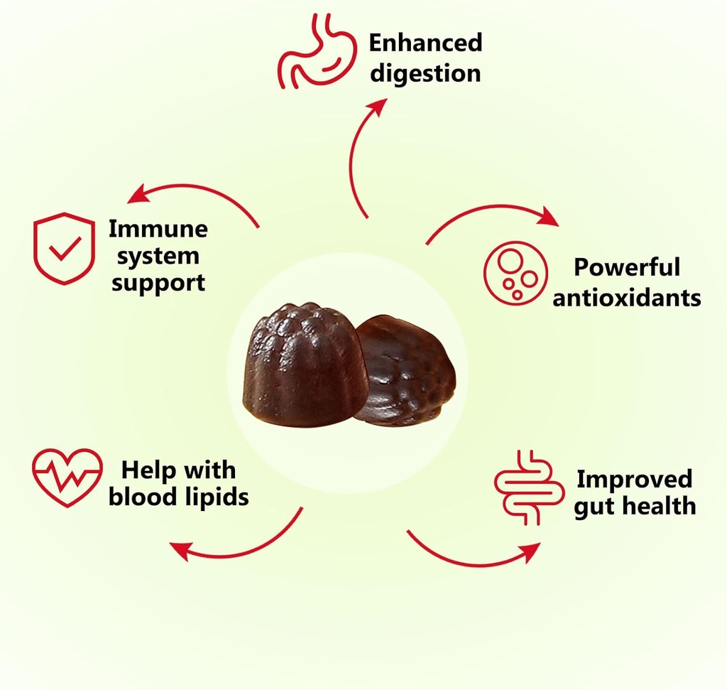 natures-key-kombucha-gummies-for-digesti-4.jpg