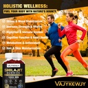 1000-mg-shilajit-gummies-organic-shilaji-3.jpg