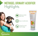 vetoquinol-methigel-urinary-acidifier-to-3.jpg