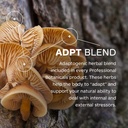 professional-botanicals-di-aide-enzymes--4.jpg