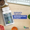america-medic-science-sperm-count-max-60-3.jpg