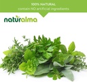 naturalma-ribwort-plantain-or-narrowleaf-4.jpg