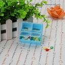 large-weekly-pill-case-7-day-pill-case-c-5.jpg