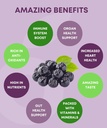 aronia-superberry-gummies-daily-immune-s-5.jpg