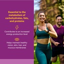 natural-factors---vitamin-b2-riboflavin--2.jpg