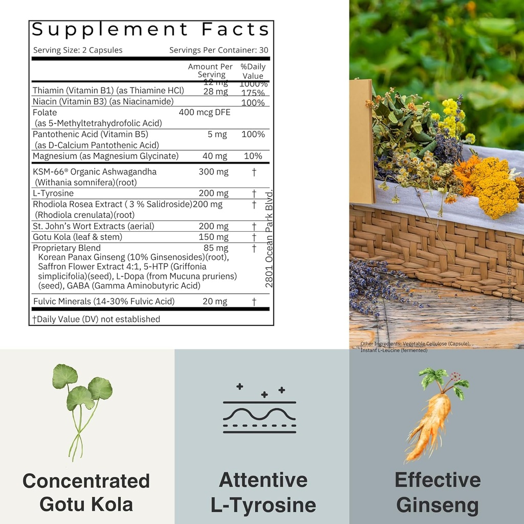 mood-support-vegan-capsules-organic-ksm6-5.jpg