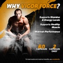 5-pack-vigor-force-for-men-vigor-force-h-5.jpg