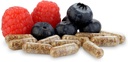 equilibrium-probiotic-supplement-with-pr-5.jpg