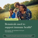 gaia-herbs-black-elderberry-sambucus-nig-5.jpg