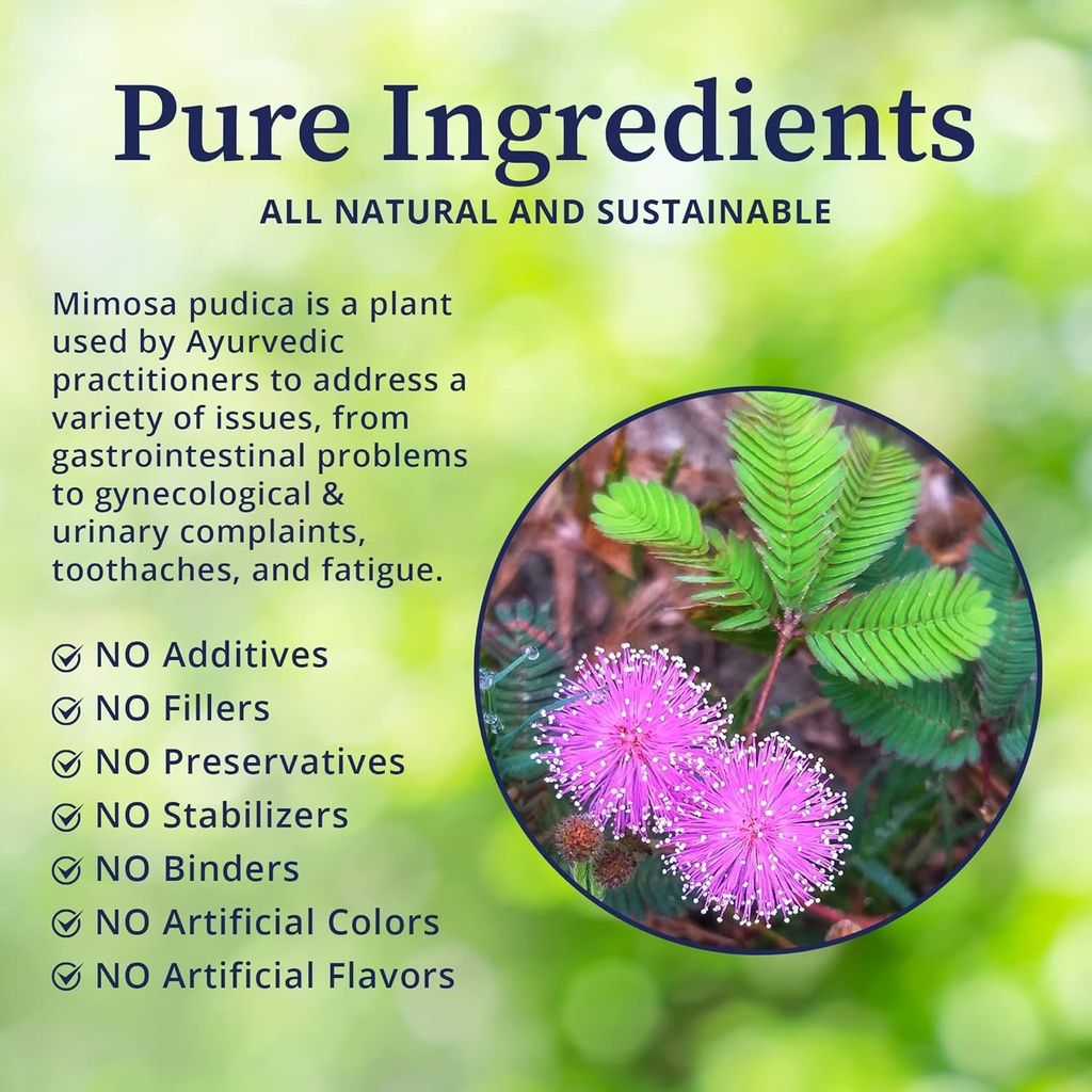 biopure-mimosa-wildcrafted-organic-mimos-3.jpg