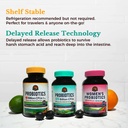 vitalitown-probiotic-bundle-pack-of-3-60-4.jpg