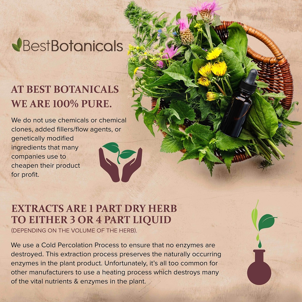 best-botanicals-uva-ursi-leaf-cut-16-oz-2.jpg