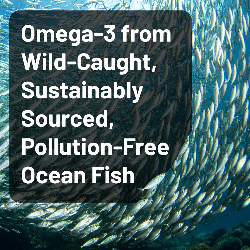 naturewise-1-ultra-omega-3-fish-oil-2200-3.jpg