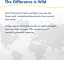 north-american-herb-spice-resp-immune----6.jpg