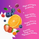 belive-healthy-gut-dream-team-bundle-pro-6.jpg