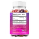 belive-healthy-gut-dream-team-bundle-pro-2.jpg
