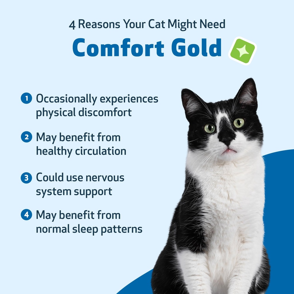 pet-wellbeing-comfort-gold-for-cats-supp-3.jpg