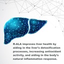 lifelink-r-alpha-lipoic-acid-100-mg-x-12-5.jpg